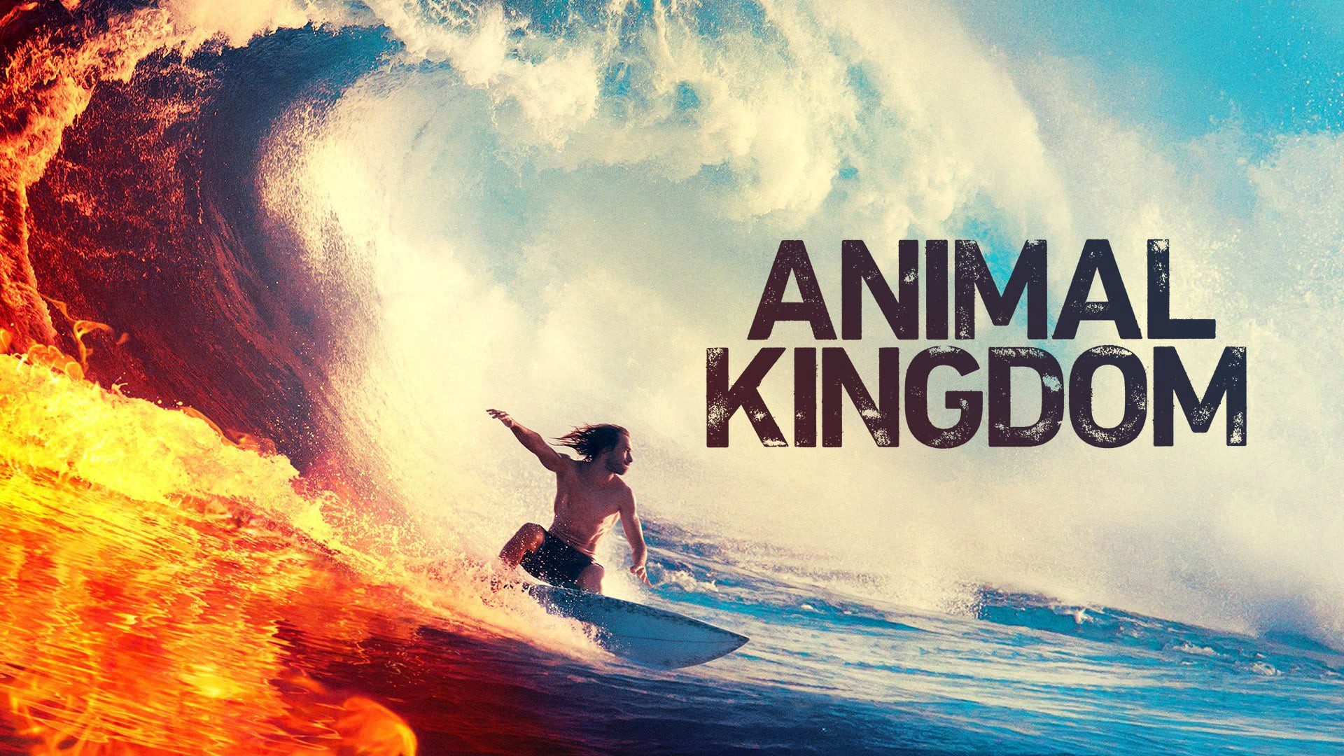 Animal Kingdom Season 5 Episode 3 Release Date & Preview OtakuKart