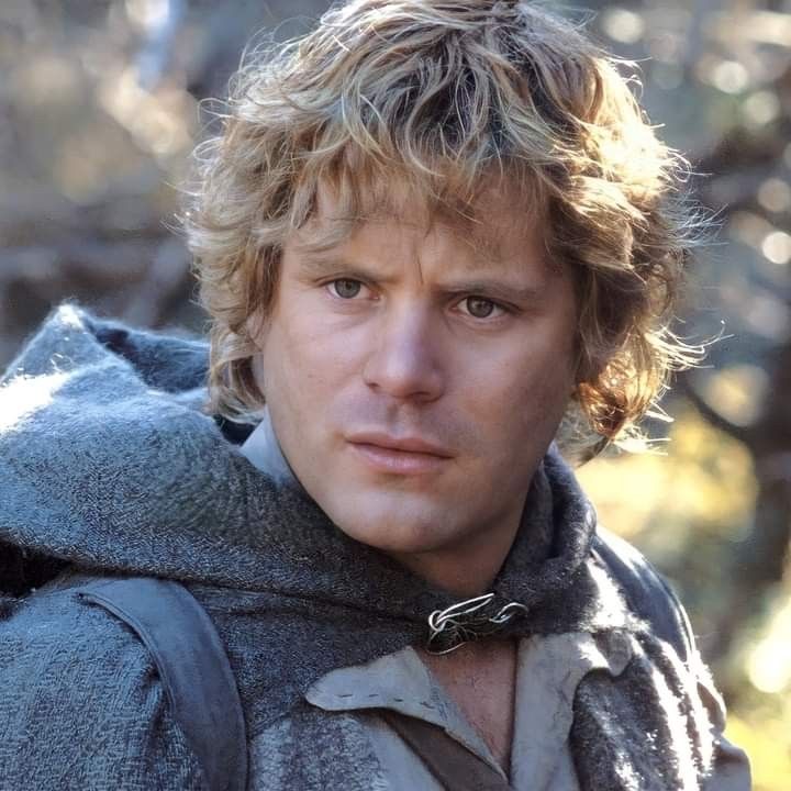 Why Does Sam Call Frodo, 'Mr. Frodo' in Lord of the Rings? OtakuKart