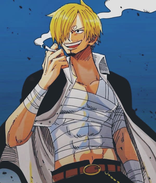 Top 15 Hottest Male Characters in One Piece (Ranked) OtakusNotes