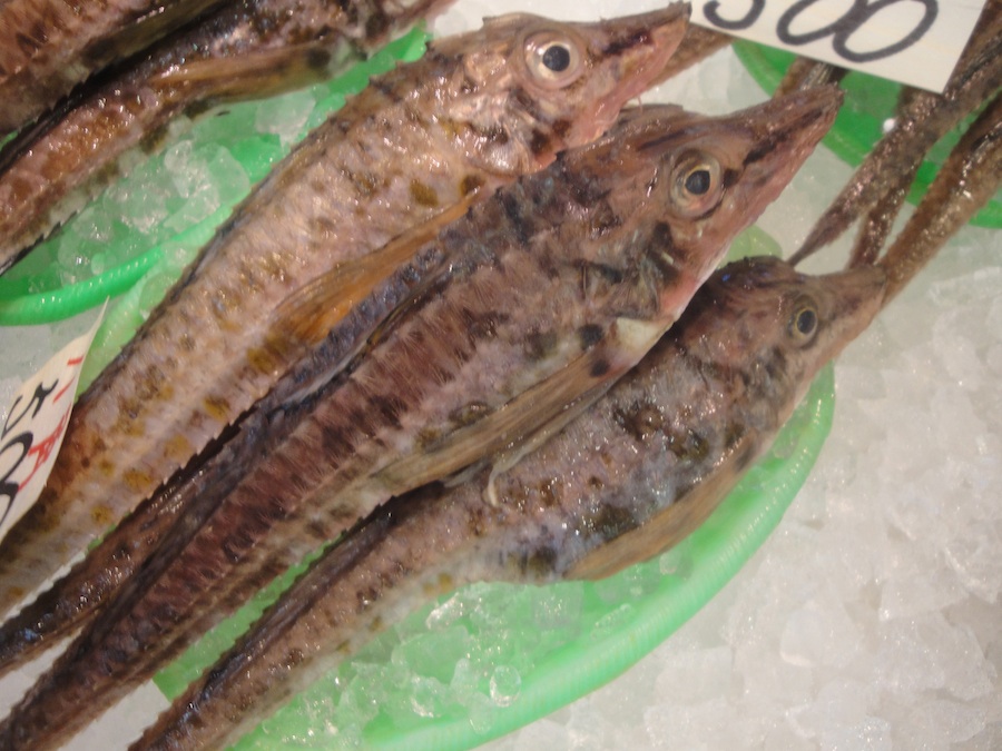 小樽で馴染みの魚・ハッカク（八角） ここかしこが慕わしいまち