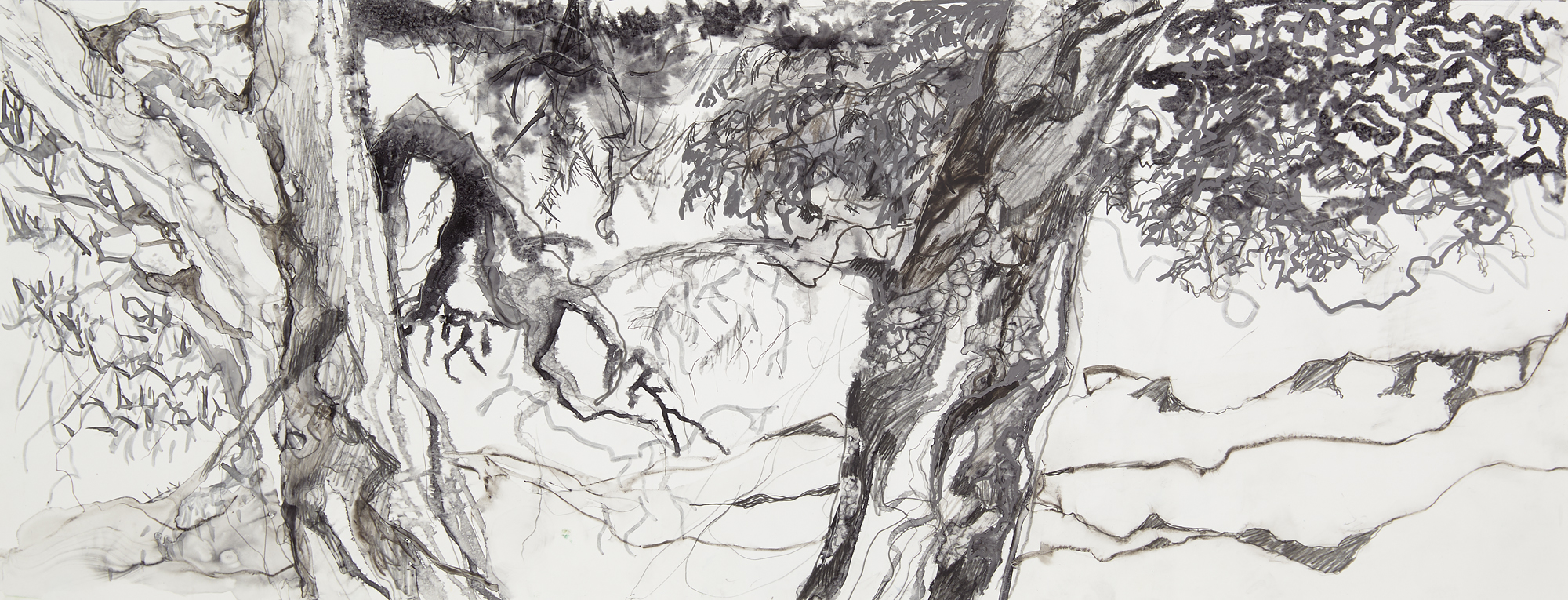 O Tay! Inc. » Susan Newbold