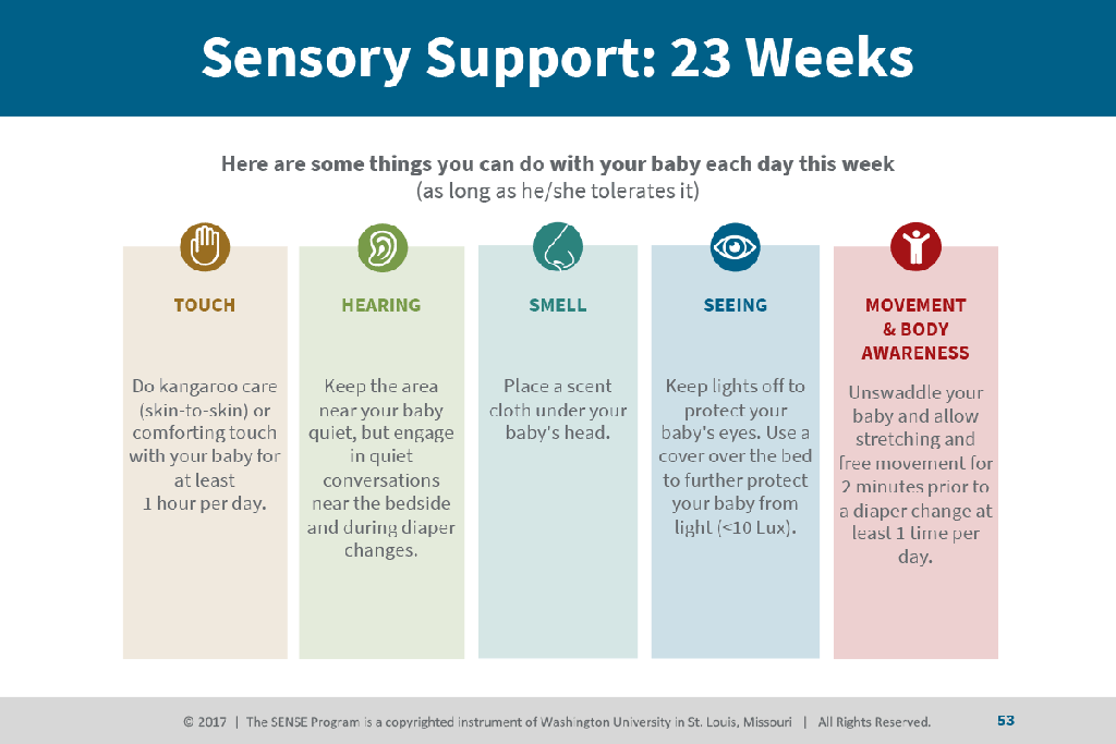 OTR’s Personal and Professional Experiences Inspire Improved NICU Stays