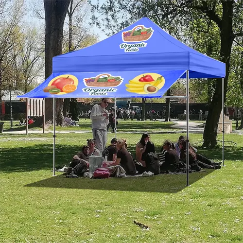 10×10 Tent Awning Outlet Tags Canopies Ottawa