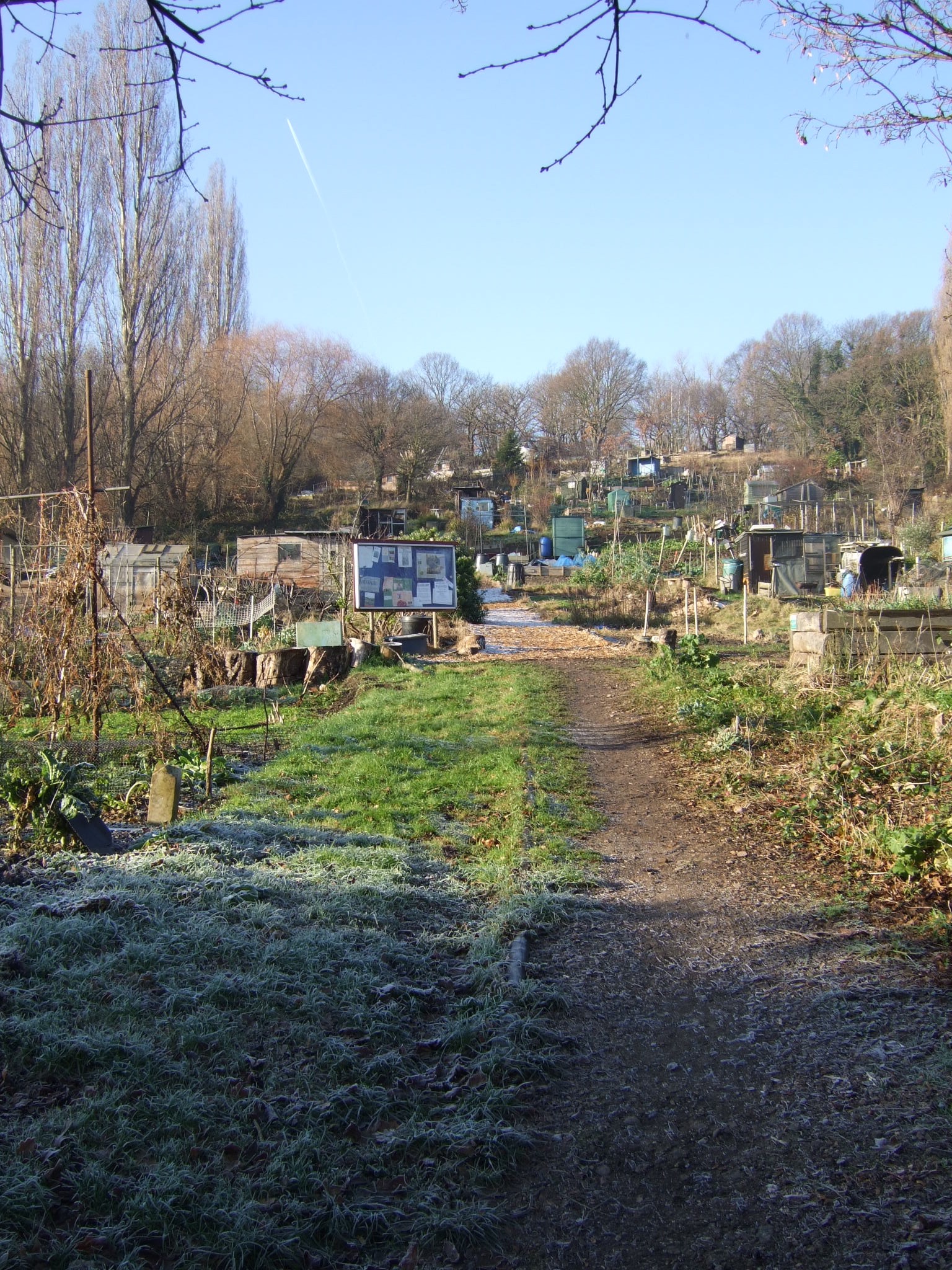 One Tree Hill Allotment Society