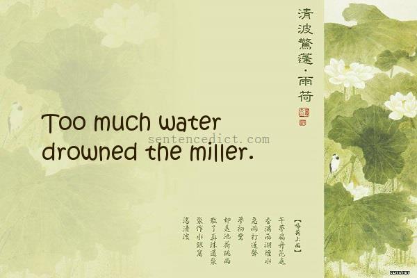 Good Sentence appreciation Too much water drowned the miller.