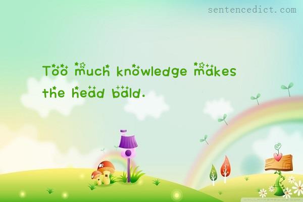 Good Sentence appreciation Too much knowledge makes the head bald.