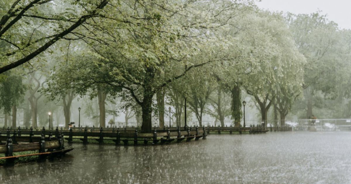 Understanding Abuja's Weather and Climate What to Expect? Otipen