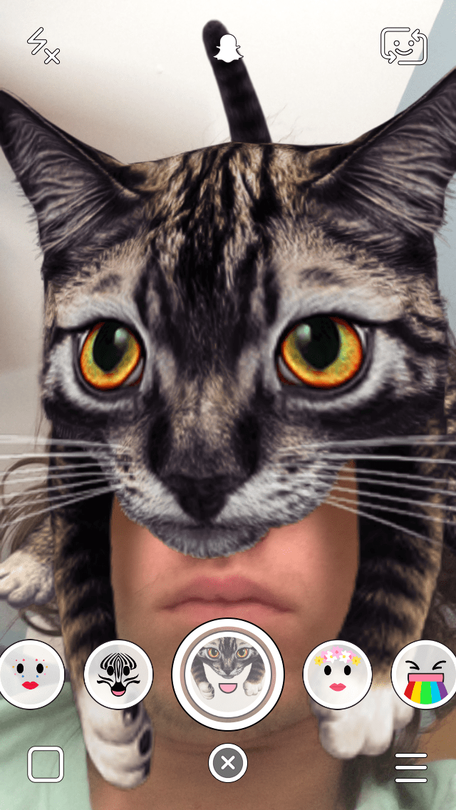 Snapchat Lenses Cat On Top Of Head Snapchat Lens OTLSM