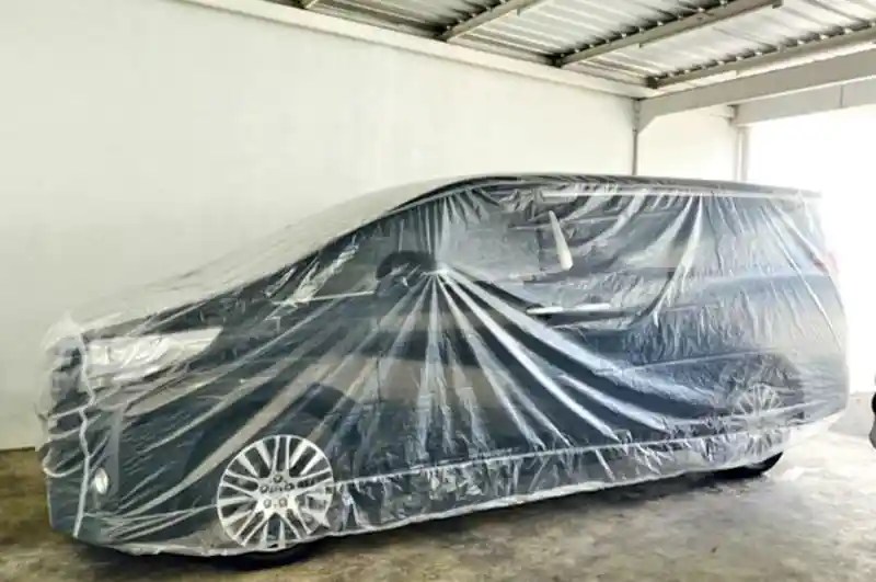 Mobil Parkir Di Rumah Saja, Awas Kucing Rusak Permukaan Cat!