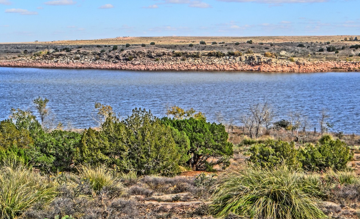 Sumner Lake State Park, New Mexico Day 3 Que Sera, Sera... Whatever
