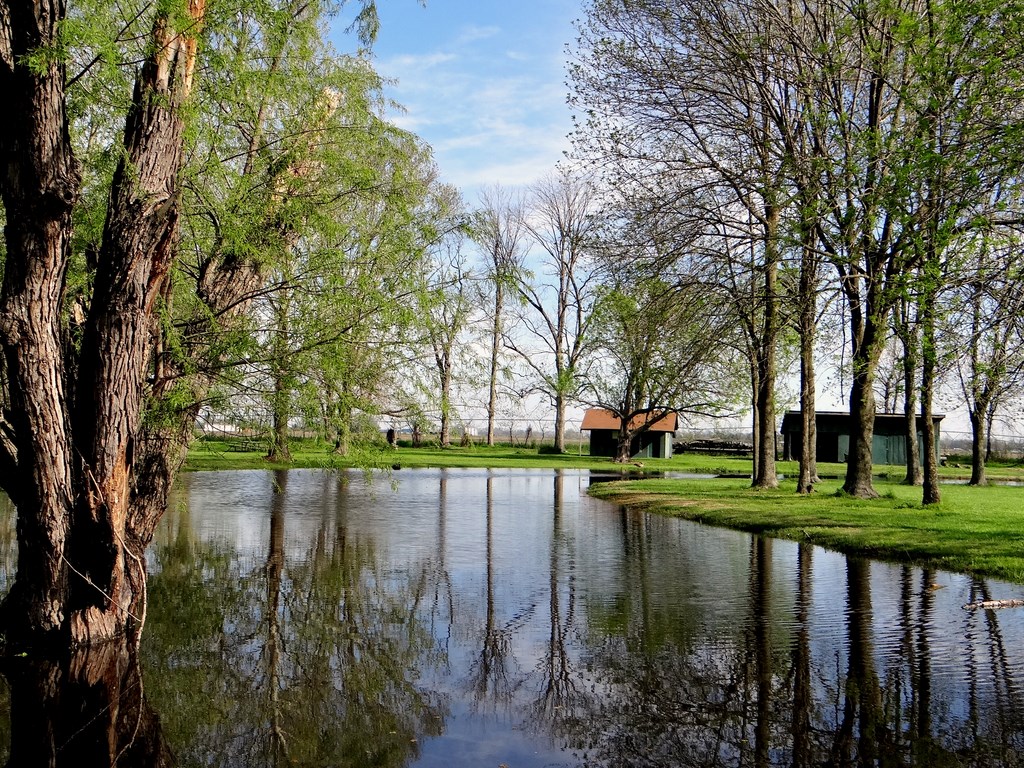 Lula, Mississippi Que Sera, Sera... Whatever Will Be, Will Be...