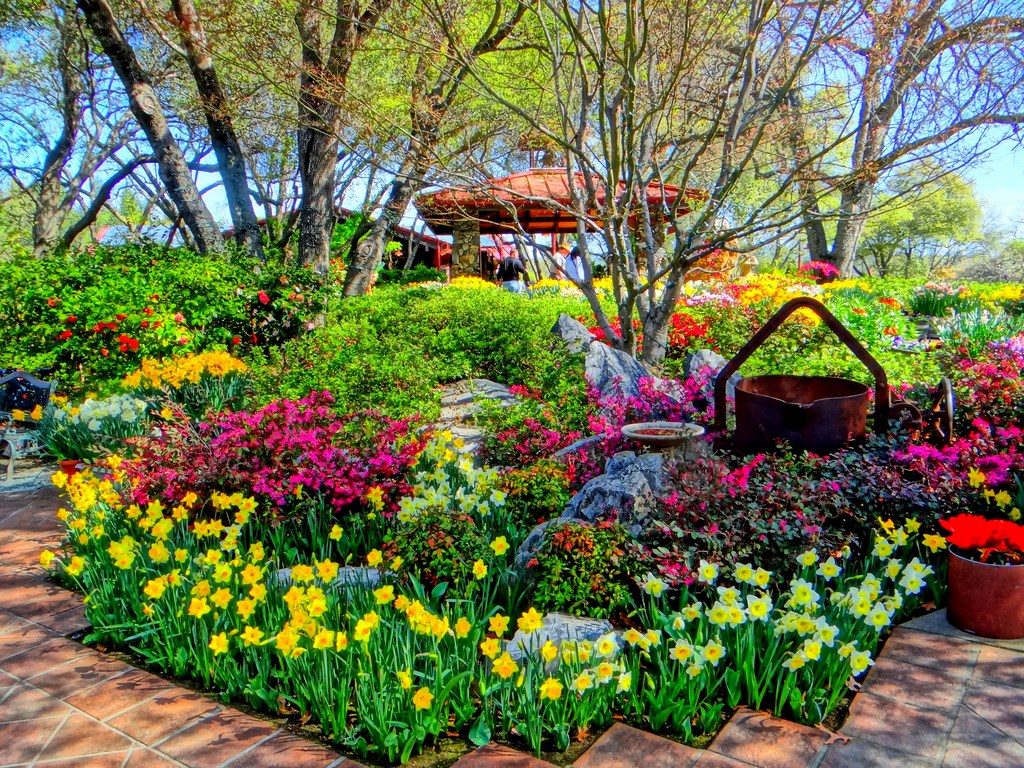 Kautz Ironstone Vineyards Murphys, California Que Sera, Sera