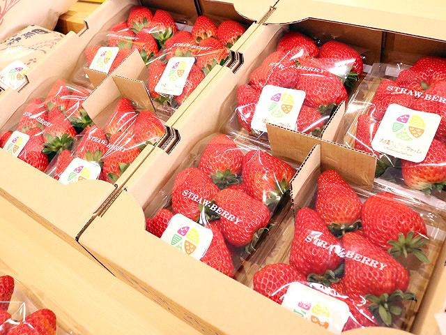 2月1日(土)グランドオープン！ 淡路島のフルーツ狩りができる観光農園「大坪だんだんファーム」