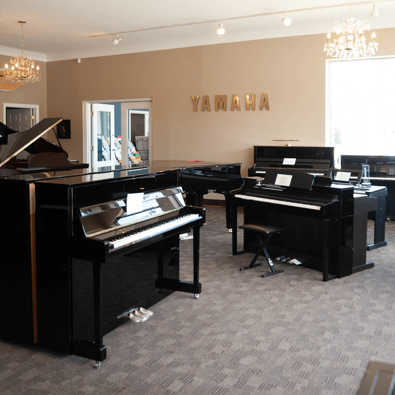 Our Experience Ottawa Pianos