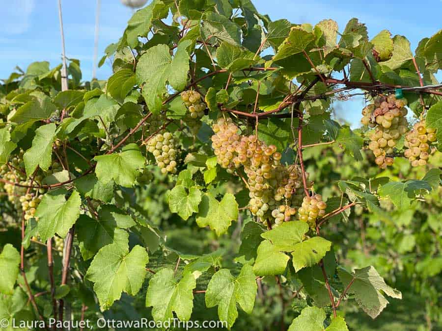 Three fall drives in Eastern Ontario Ottawa Road Trips
