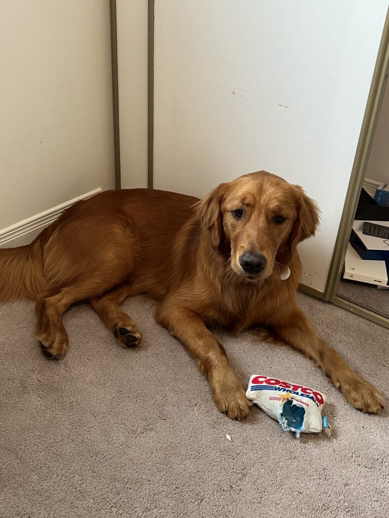 Best Grocery Stores in Ottawa Where to Shop in Ottawa