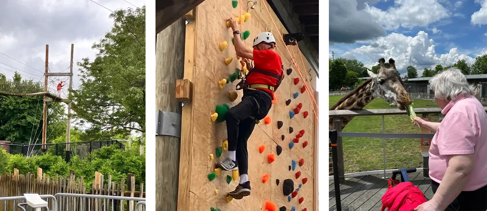 Otterbein Sponsors Toledo Zoo River Otter Exhibit Cam and Provides New
