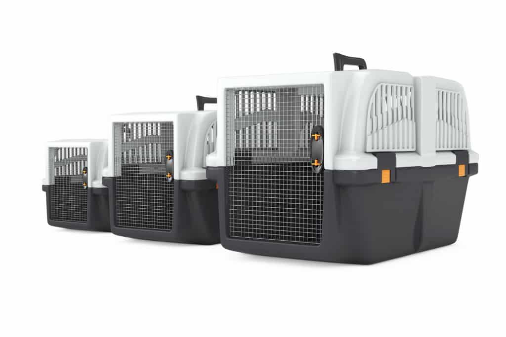 How to crate train a Labrador puppy Otter Tail Kennels