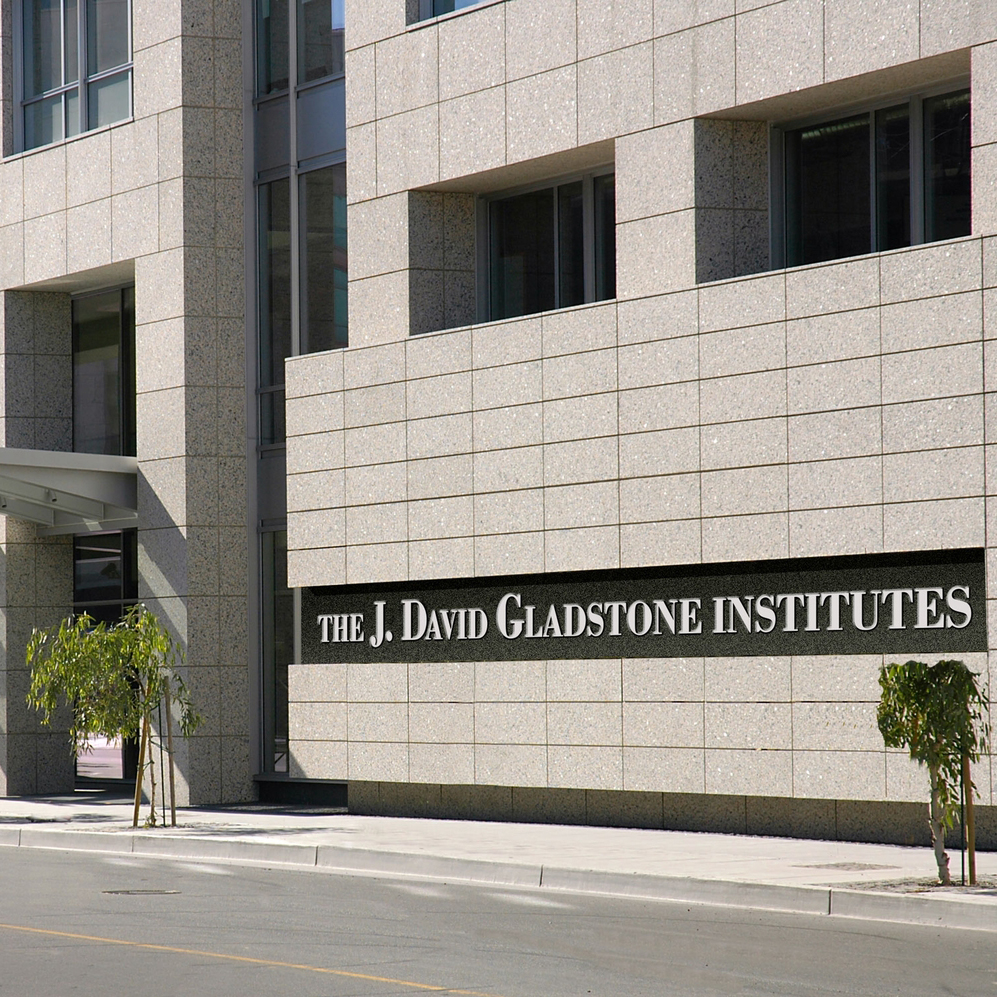 Careers with Us The Ott Lab Melanie Ott