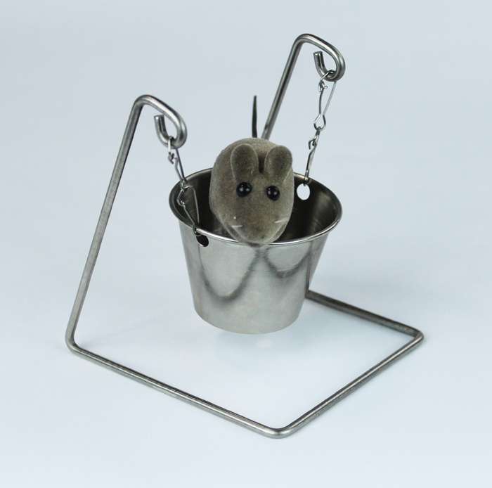 Mouse K Teeter Mice Enrichment Otto Environmental