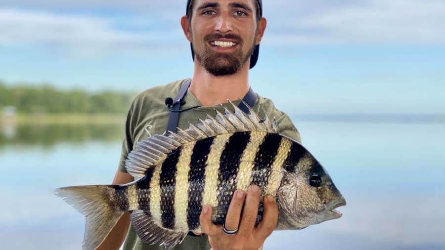 Sheepshead vs Black Drum 3+ Key