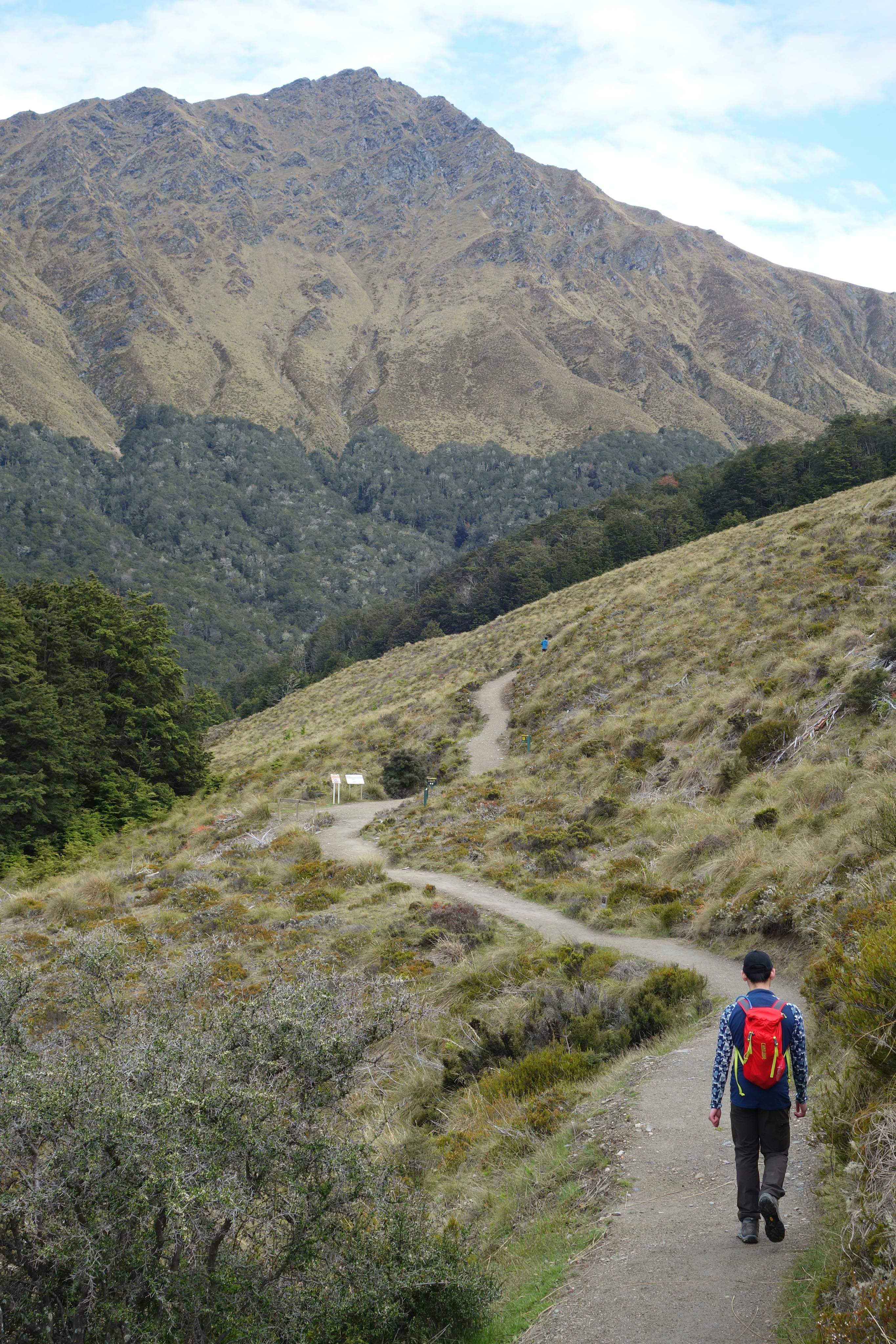 Ben Lomond Track Ximply New Zealand
