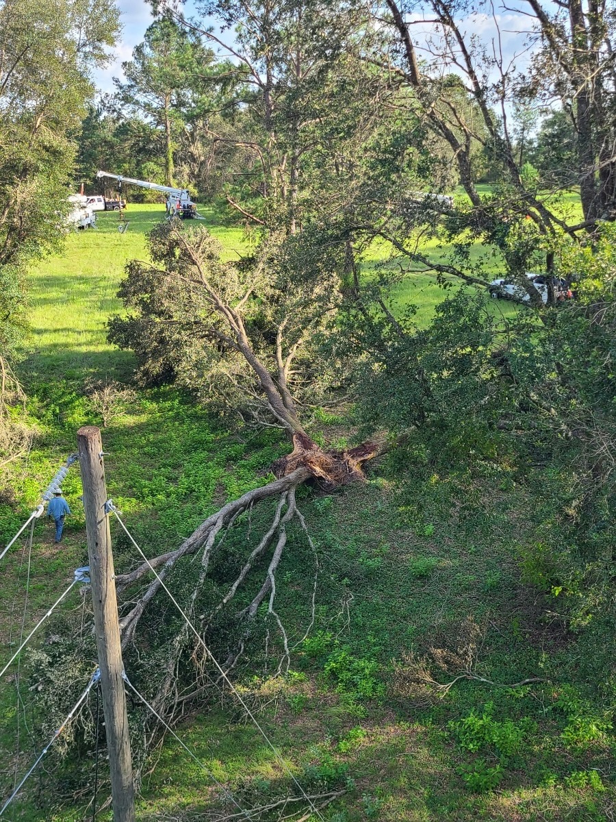 What to Do If Your Lights Dim or Flicker During a Storm OUConnect