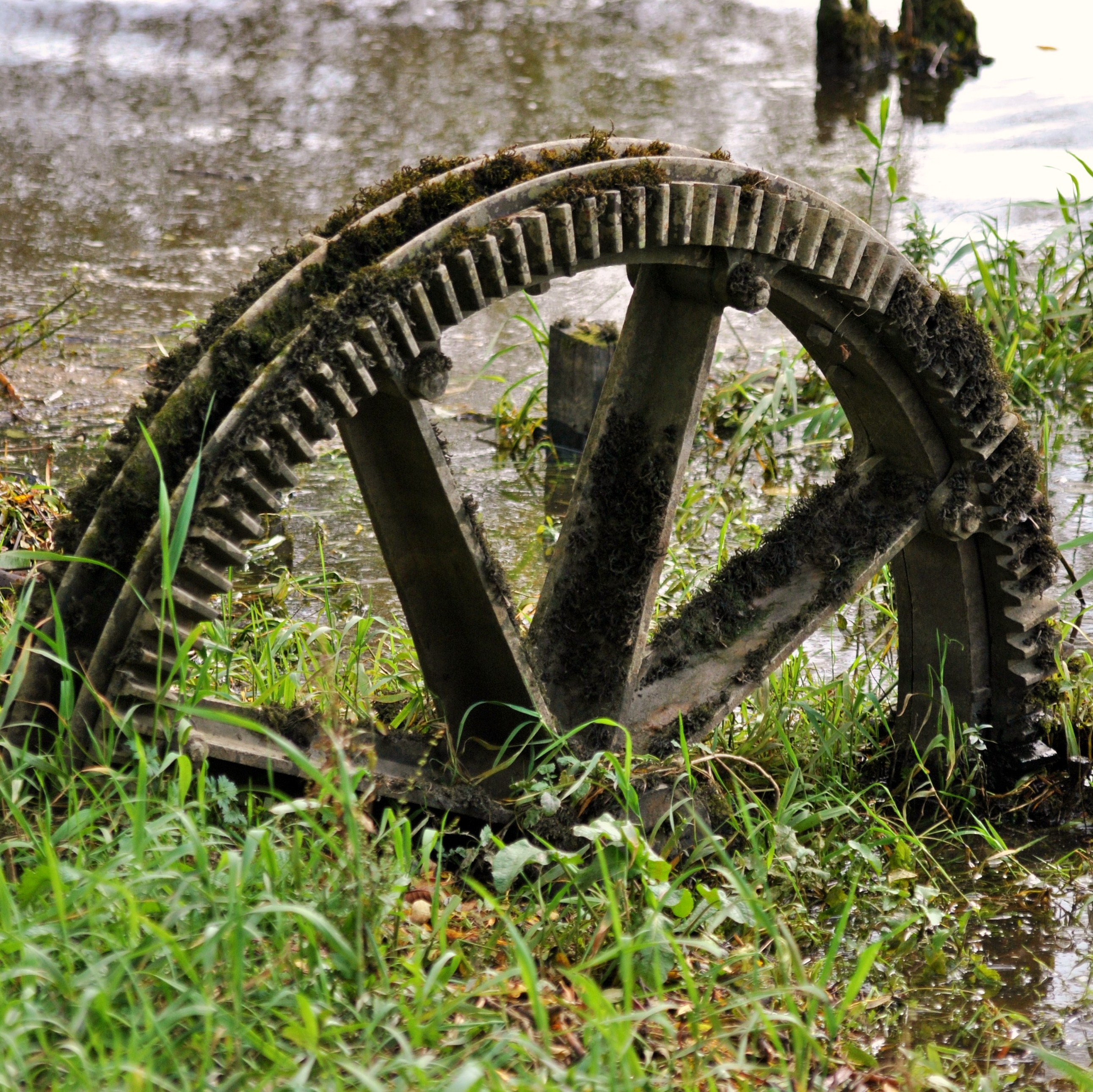 Crown gear? From where? How did it get to be stuck in the mud at the edge of the Shannon?
