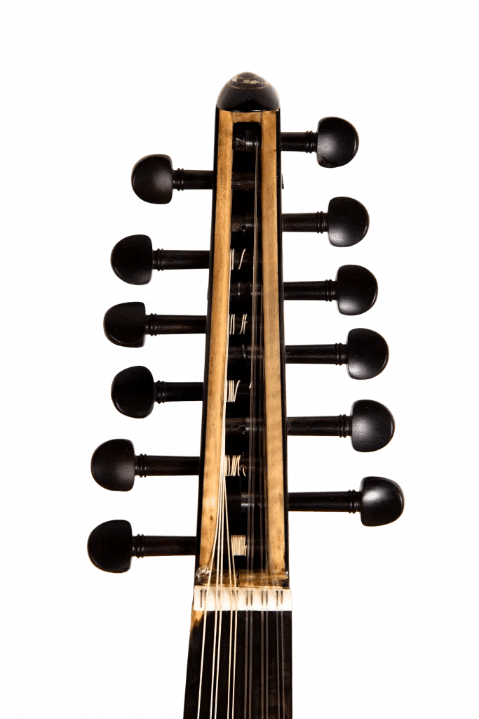 Cedar A1 Acoustic Oud Instrument