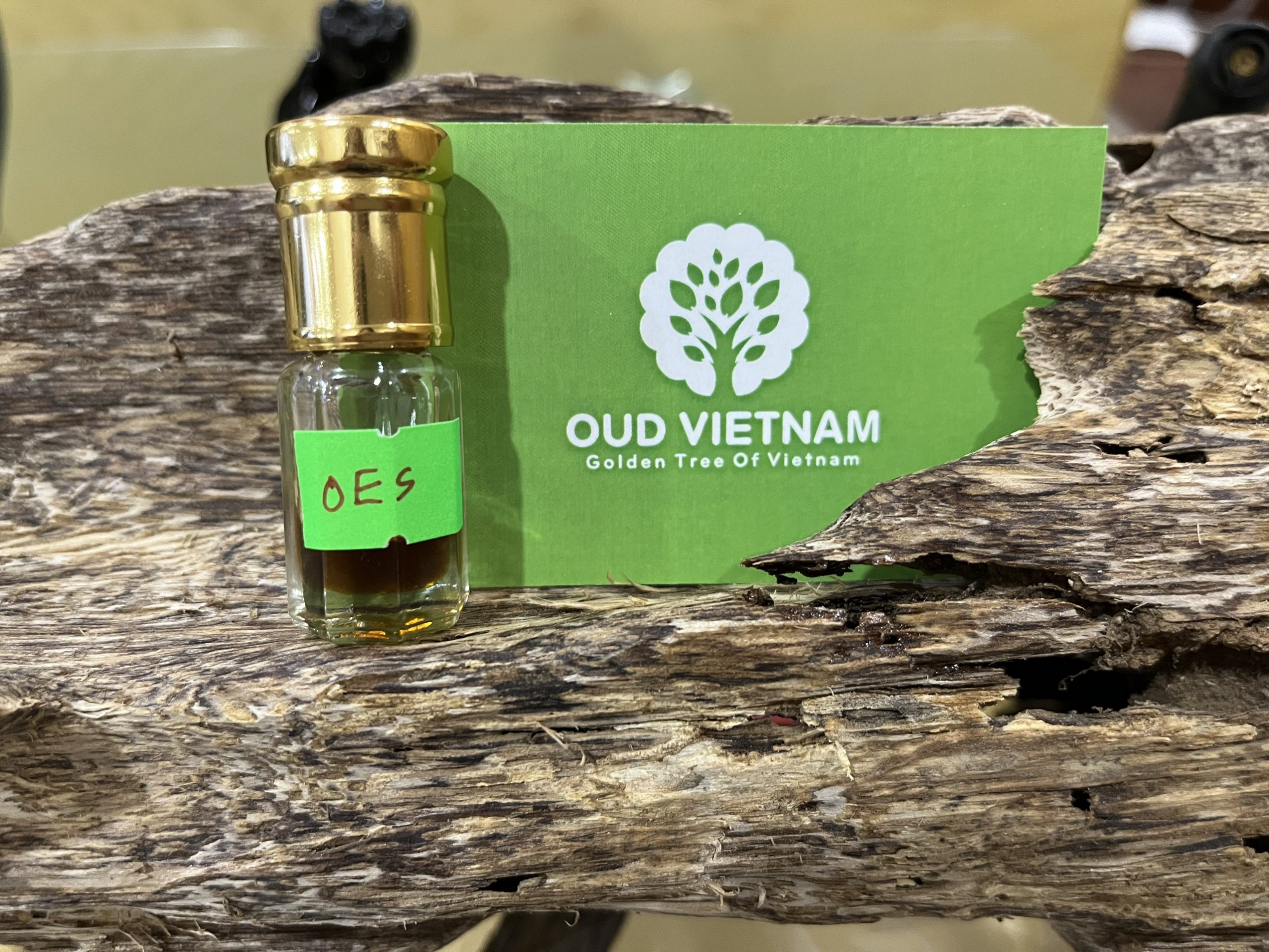  OUD Vietnam