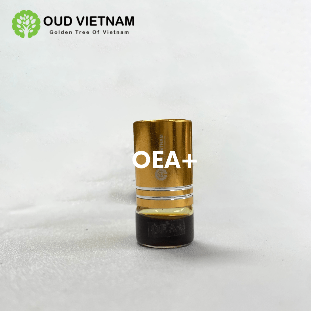Combine Trial 1 5 Types Oud Wood Essential Oil Oud Vietnam
