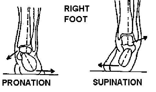 Subtalar joint motion (closed chain)