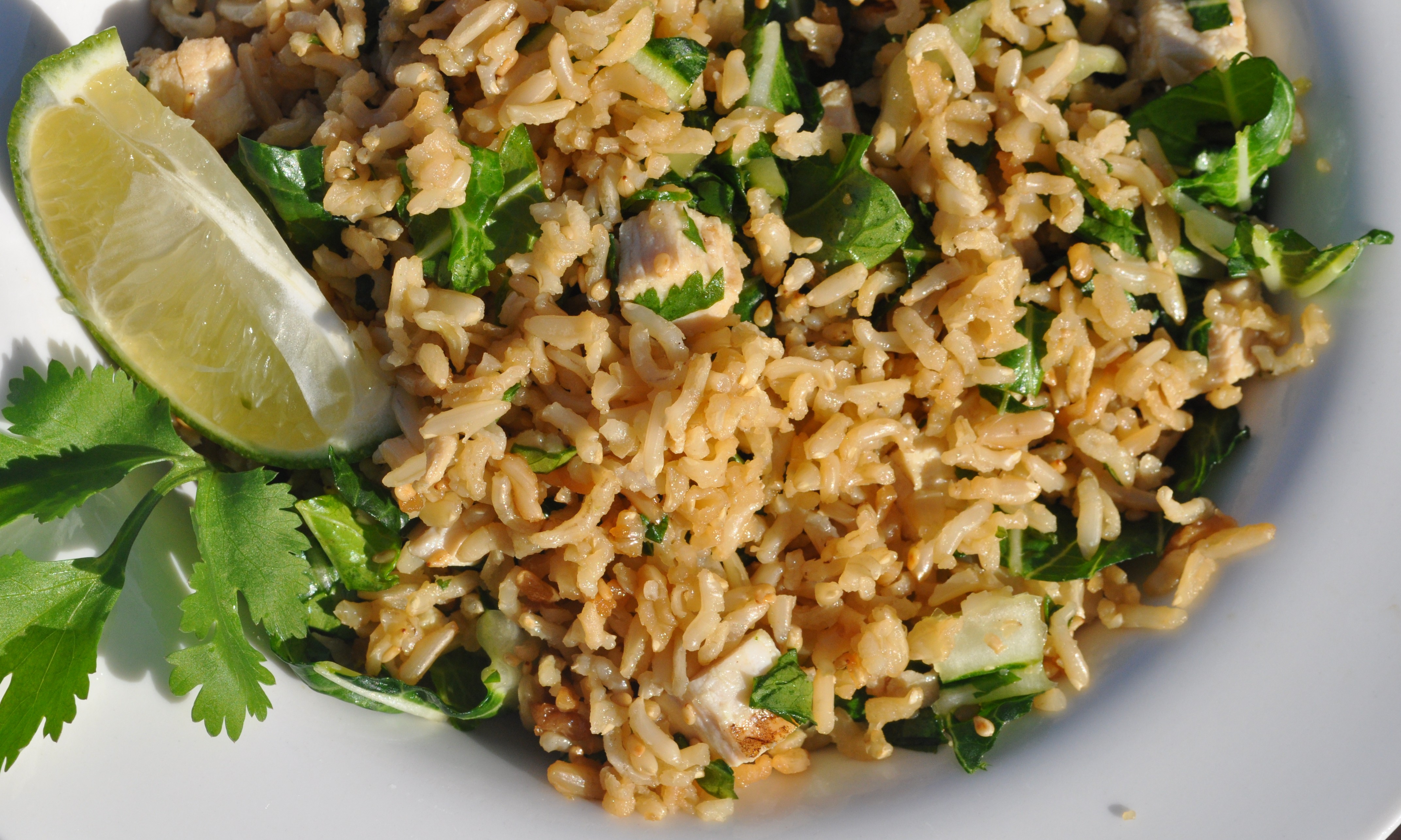 Chinese Chicken and Wild Rice Salad Kosher