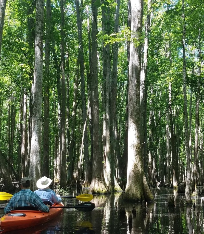 51+ Best Things to Do in Charleston SC Guide) Our Kids