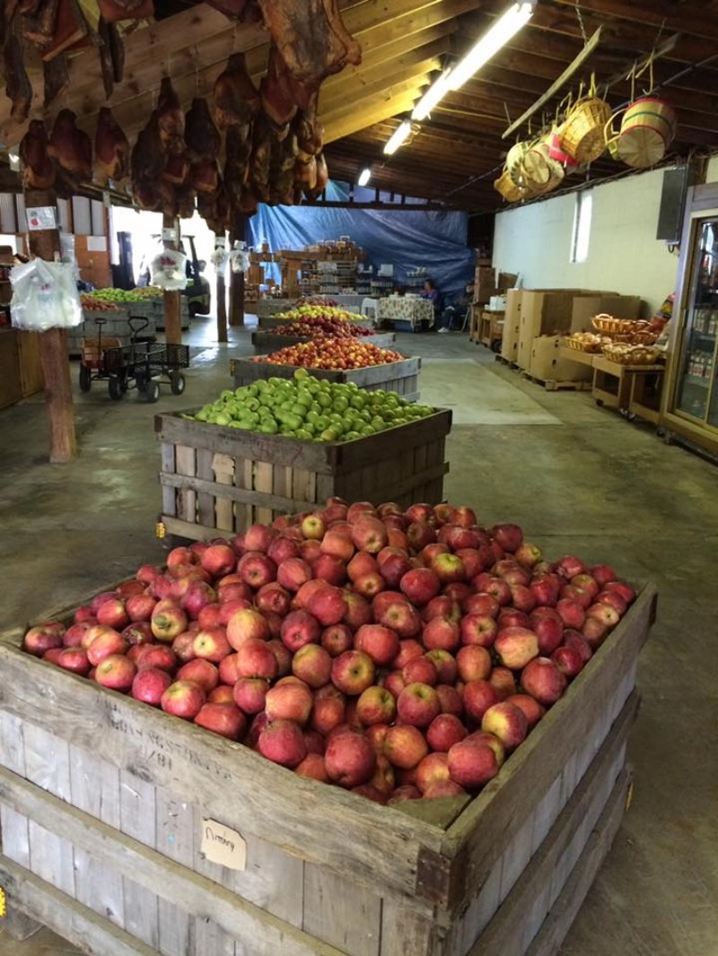 26 Apple Festivals in Virginia (2024) Music, Maze, & Food (+ Map)