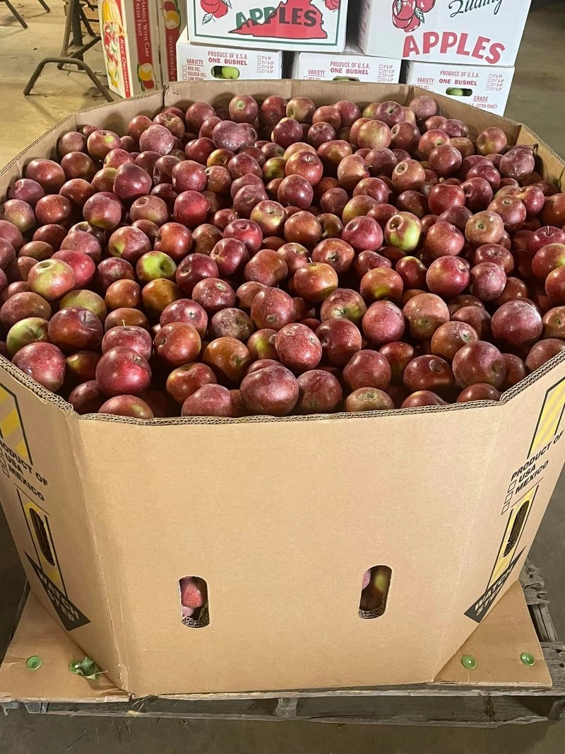 31 Best Places for Apple Picking in Virginia + Orchard Map (2024)