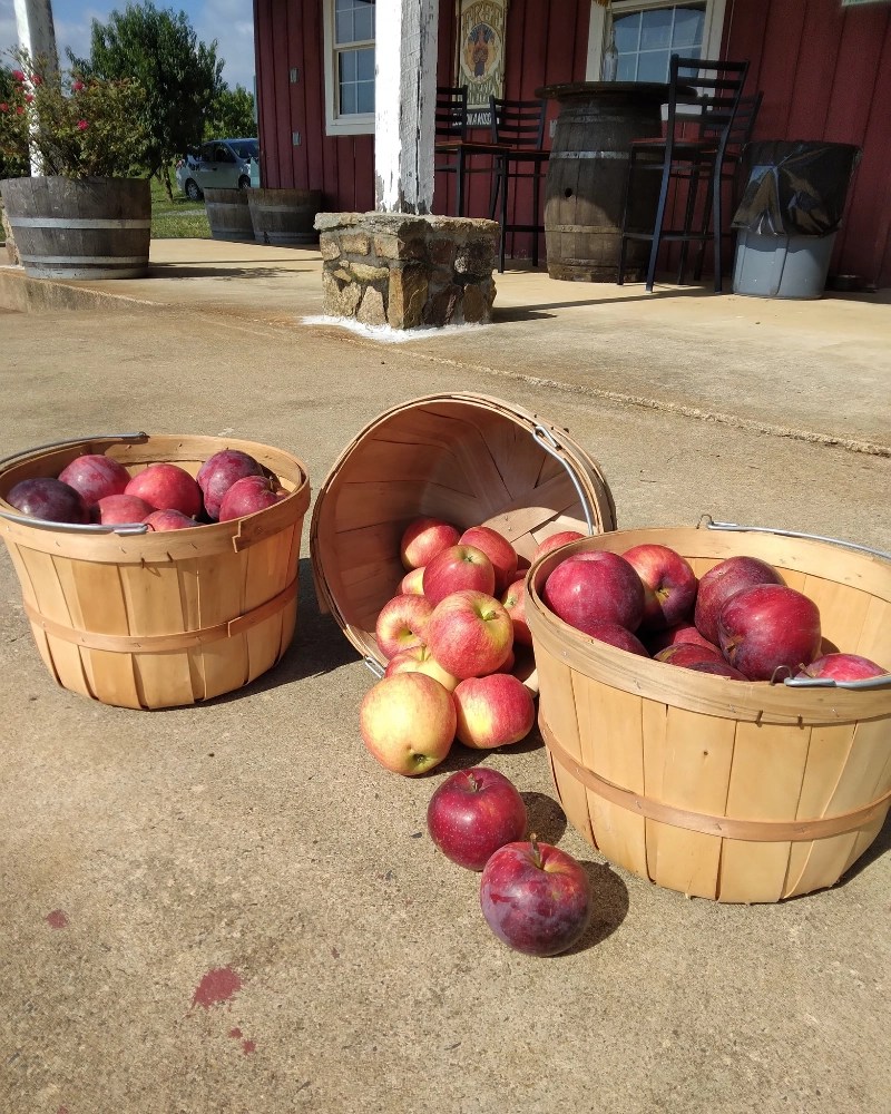 31 Best Places for Apple Picking in Virginia + Orchard Map (2024)