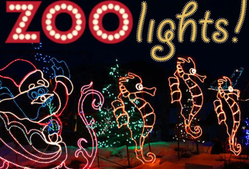 ZooLights at the Smithsonian's National Zoo Our Kids