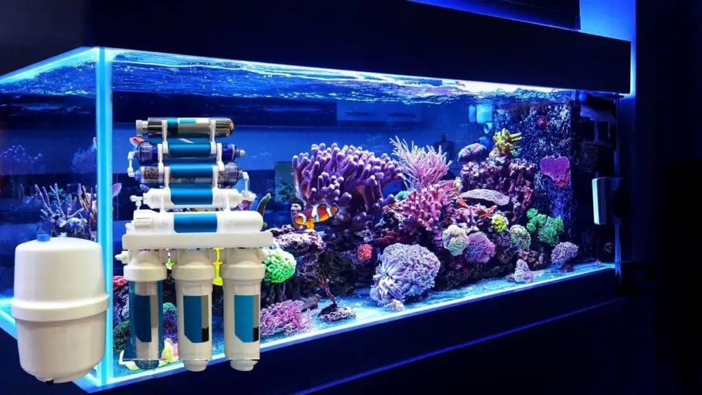 Reverse Osmosis System For A Saltwater Aquarium A LifeChanging