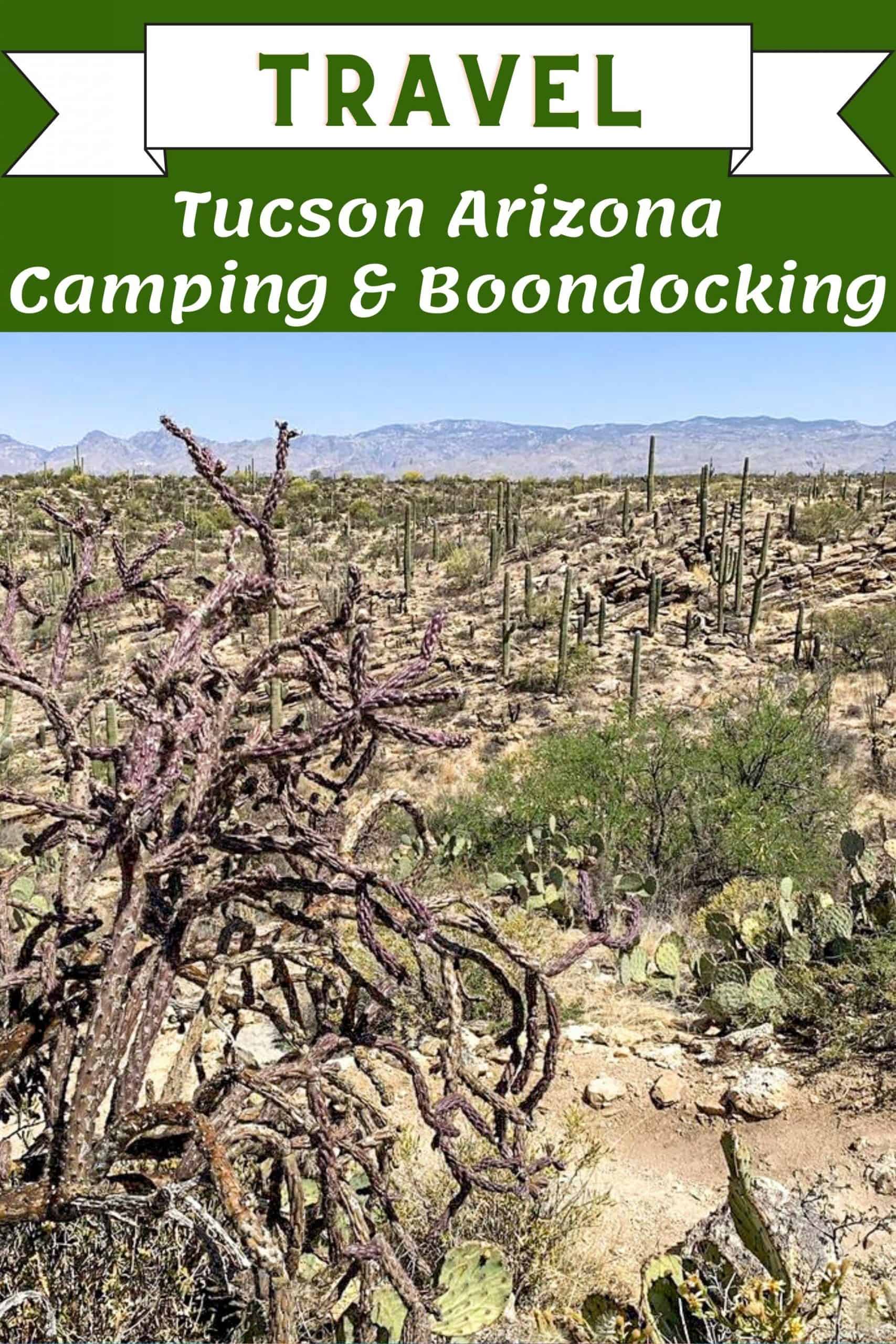 12 Tucson Boondocking & Tucson Free Camping For Rodeo Week Plane trees