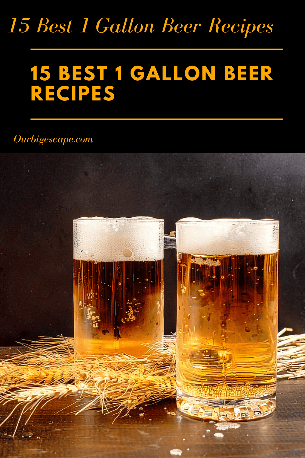 15 Best 1 Gallon Beer Recipes Plus Meads And Ales