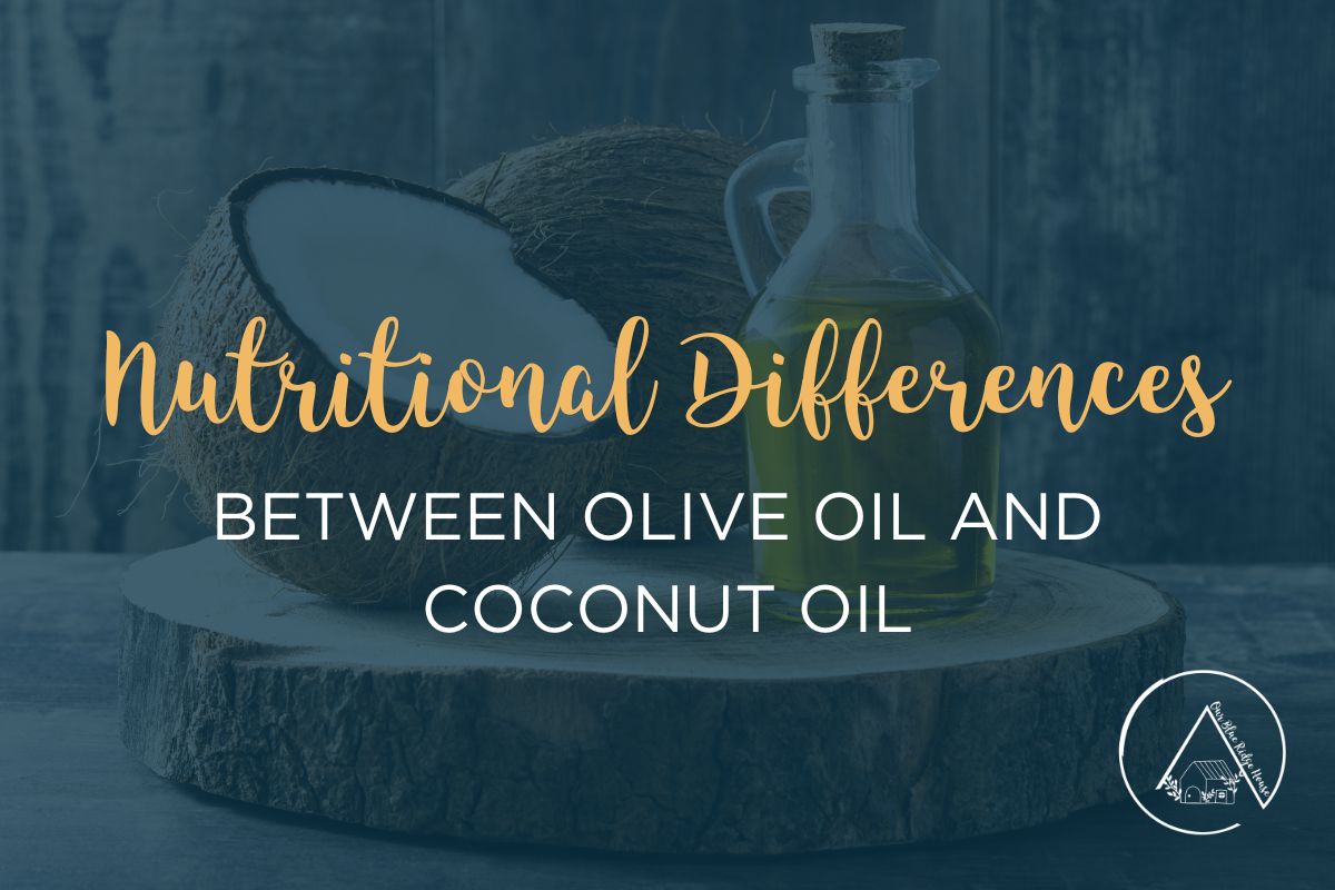 Olive Oil vs Coconut Oil Which One is Better? Our Blue Ridge House