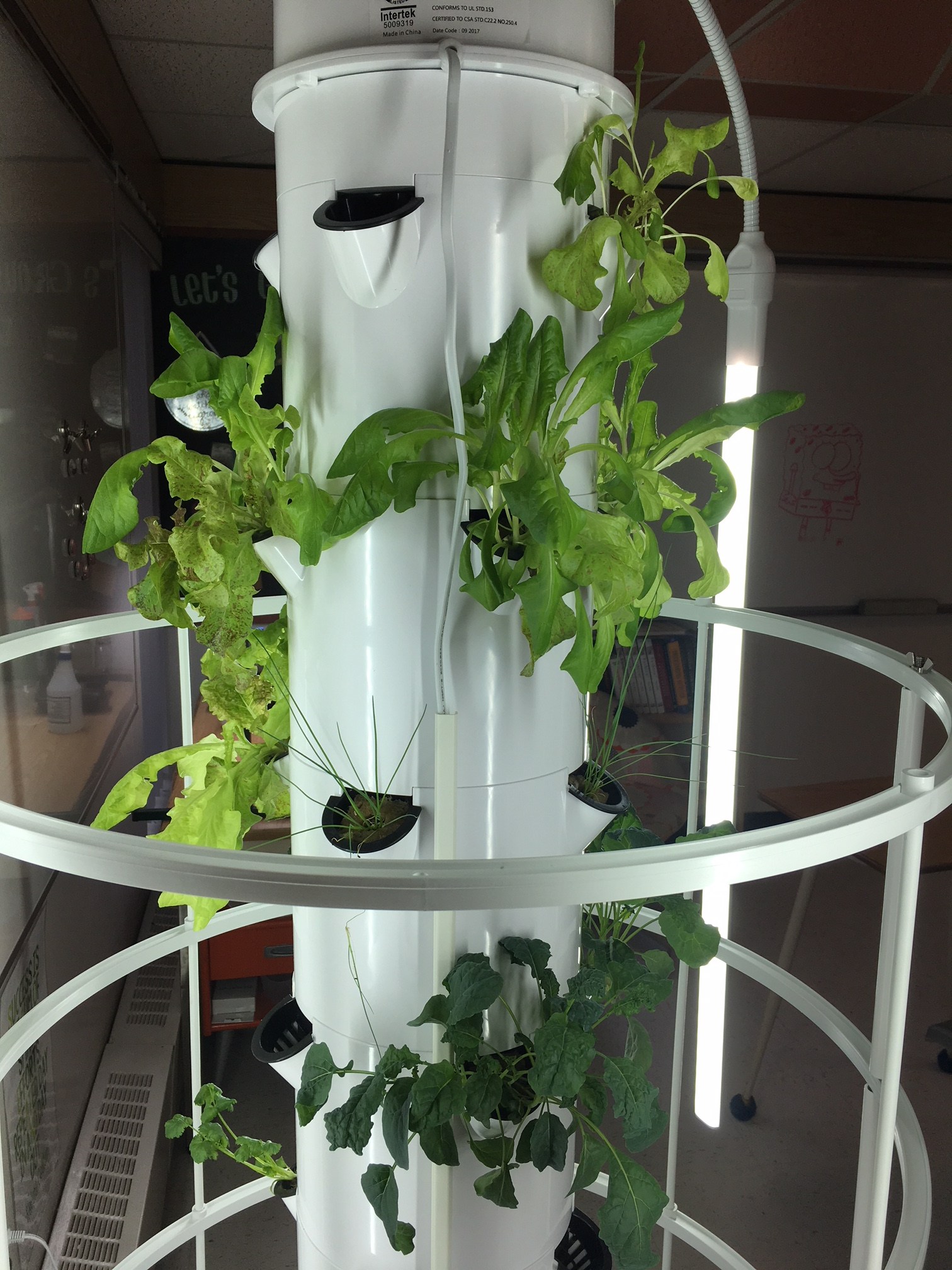 Maidstone Tower Garden Our Canada Project
