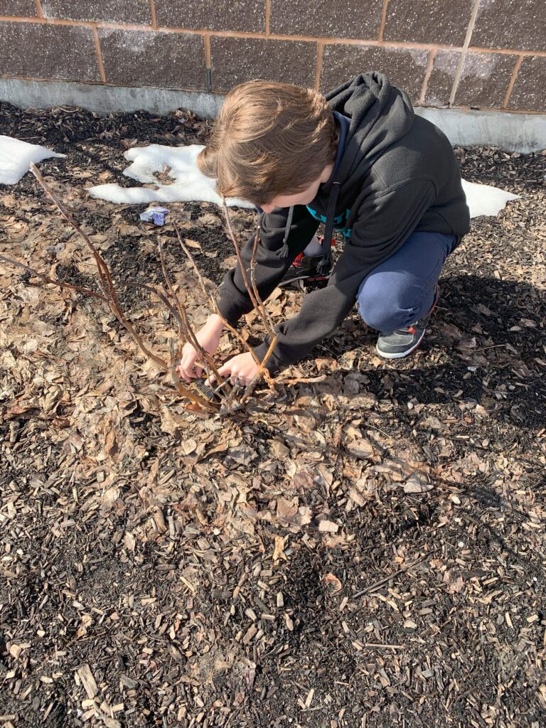 The Legacy Greenhouse Project Our Canada Project