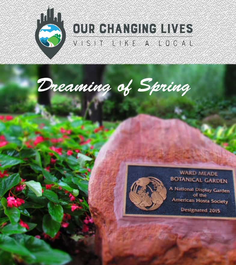 Dreaming Of Spring At WardMeade Botanical Gardens Our Changing Lives