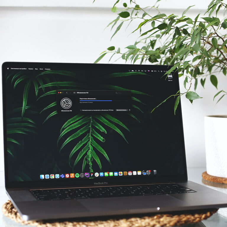 How to empty trash on a MacBook OurDeal.co.uk