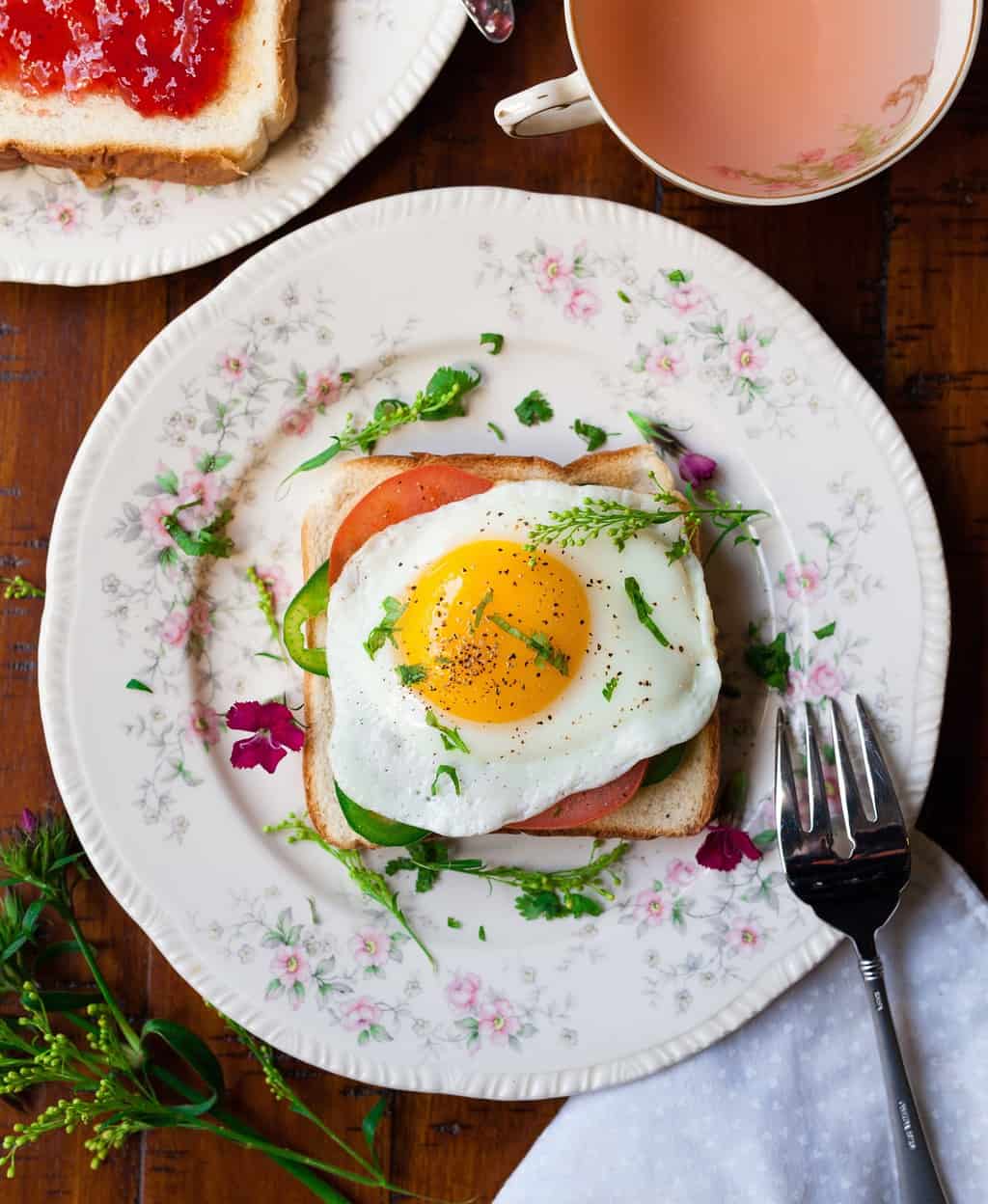 Can Dogs Eat Eggs Daily? Our Dog Breeds
