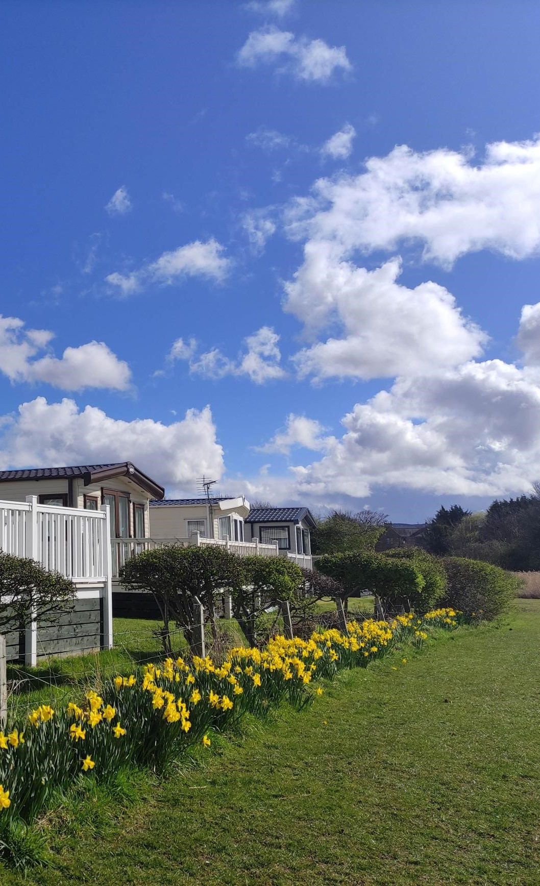 Belhaven Bay Caravan Park Dunbar