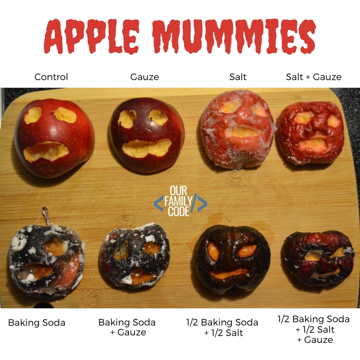 Learn the Science of Mummification with Apple Mummies