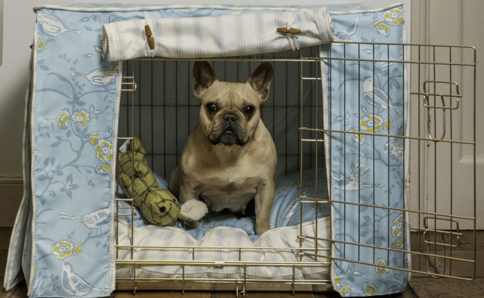 French Bulldog Training Guide OurFrenchie